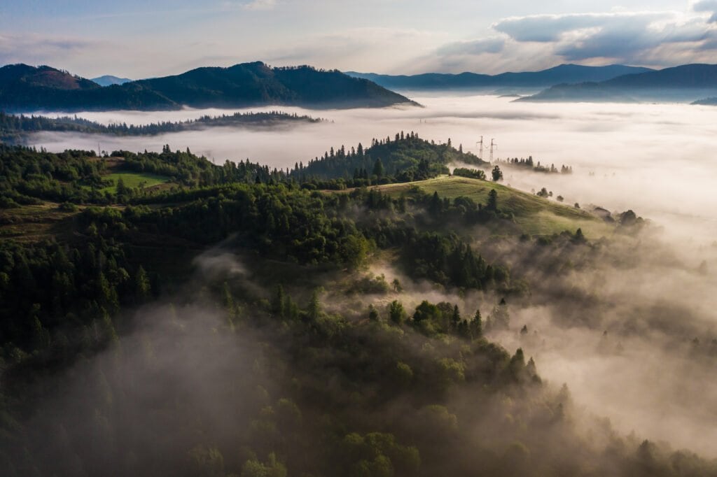 Vue aérienne forêt dans la brume matinale