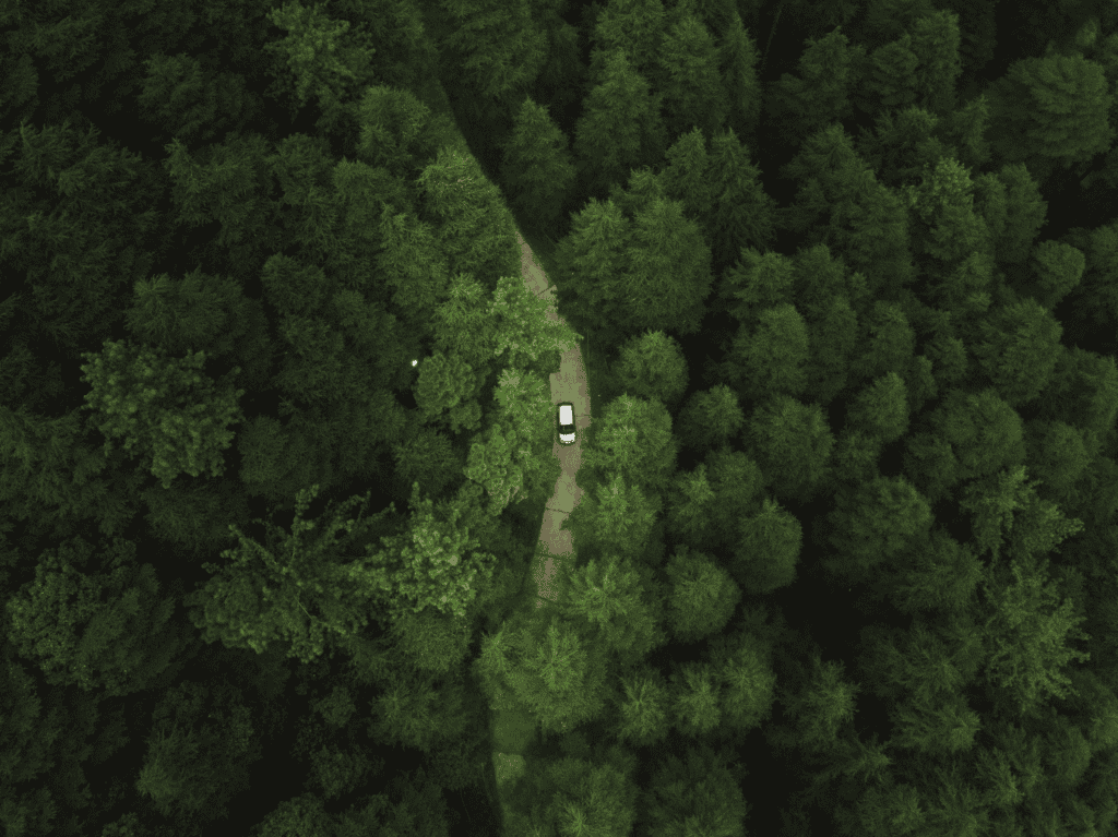 Vue aérienne route à travers une forêt dense